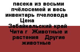 пасека из восьми пчёлосемей и весь инвентарь пчеловода › Цена ­ 60 000 - Забайкальский край, Чита г. Животные и растения » Другие животные   